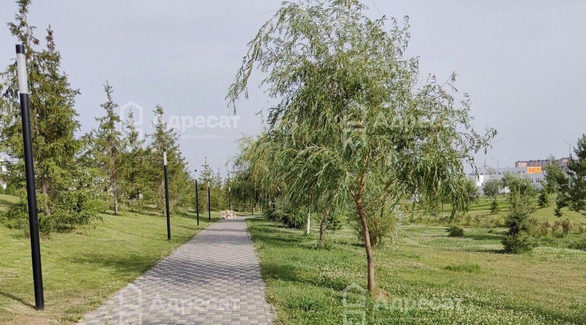 квартира г Волгоград р-н Советский ул. Химина, 12А фото 11