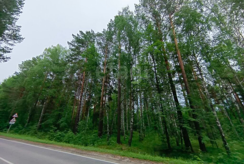 земля г Тюмень коттеджный посёлок Тополя фото 4