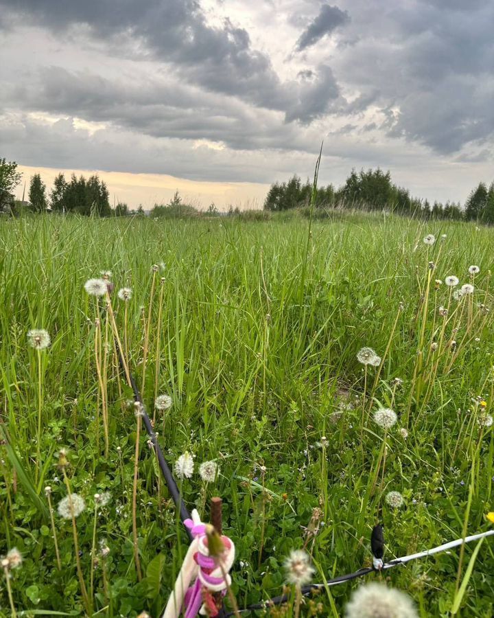 земля р-н Нерехтский г Нерехта ул Егорьевская городское поселение Нерехта фото 3