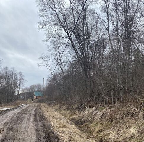 д Усланка ул Прибрежная Важинское городское поселение фото