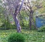 земля г Иваново р-н Октябрьский садоводческое некоммерческое товарищество Промэнергоремонт фото 16