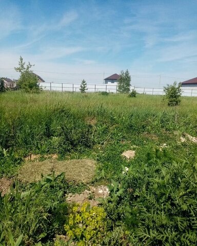 ул Куприна фото