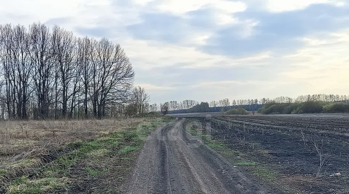 земля г Саранск п Добровольный 11/1 фото 6