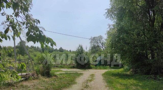 п Зазейский фото