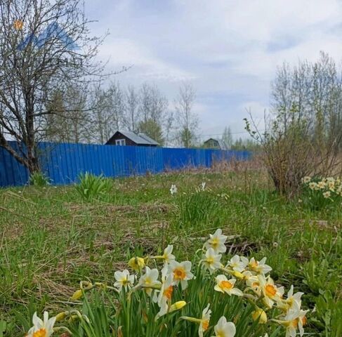 Сохатый садоводческое товарищество, 87 фото