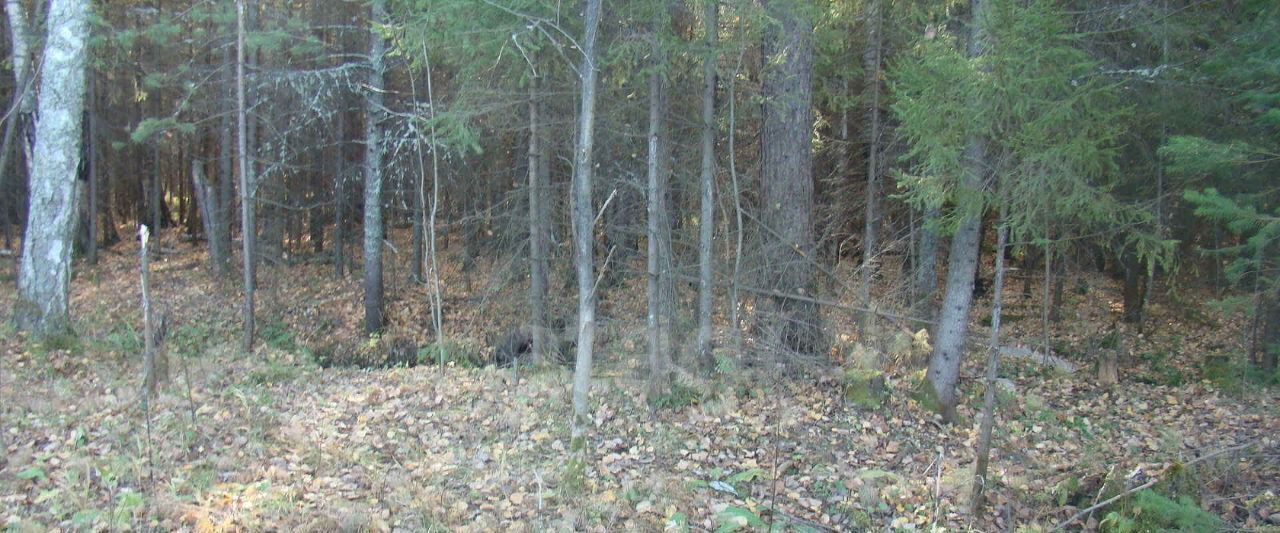 земля г Нижний Тагил № 15А НТМК КС, ул. Центральная, 11 фото 7