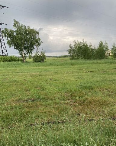 ул Березовая 38 Балашов, Хопёрское муниципальное образование фото