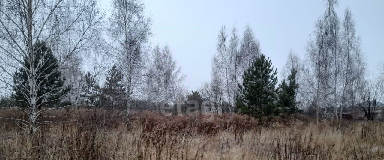 земля г Липецк с Сселки р-н Правобережный фото 2
