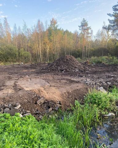 земля Таллинское шоссе, 86 км, Кингисеппское городское поселение фото