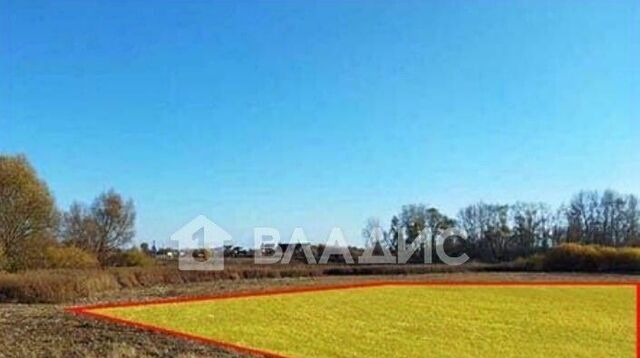 ул Родионовская 7 фото