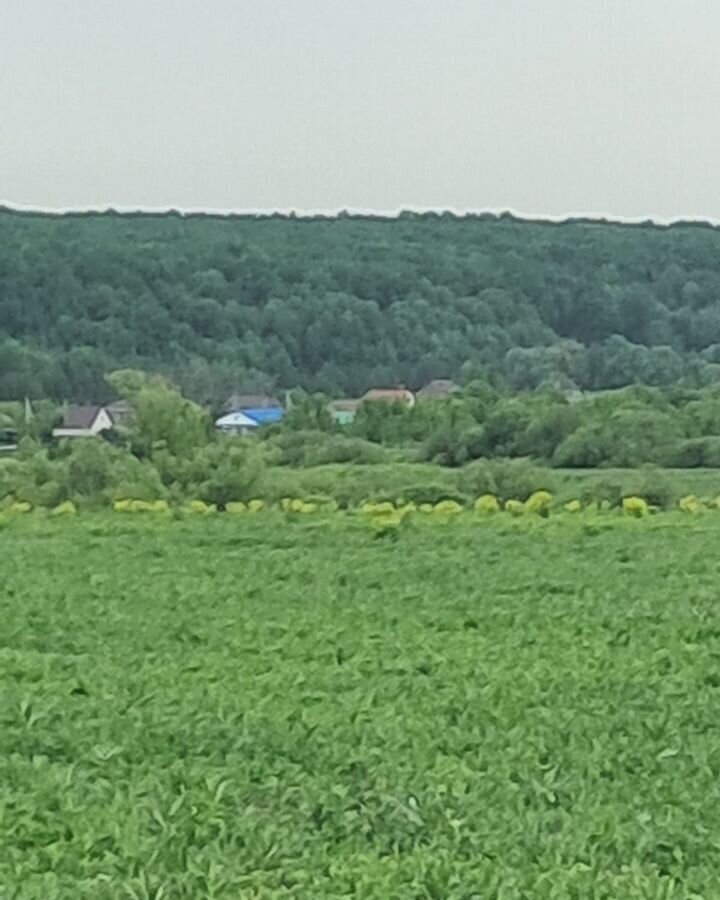земля г Саранск п Добровольный ст Ялга фото 5