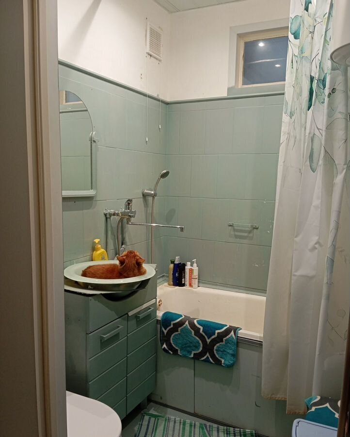 квартира г Домодедово мкр Северный ул Новомосковская 2 фото 3