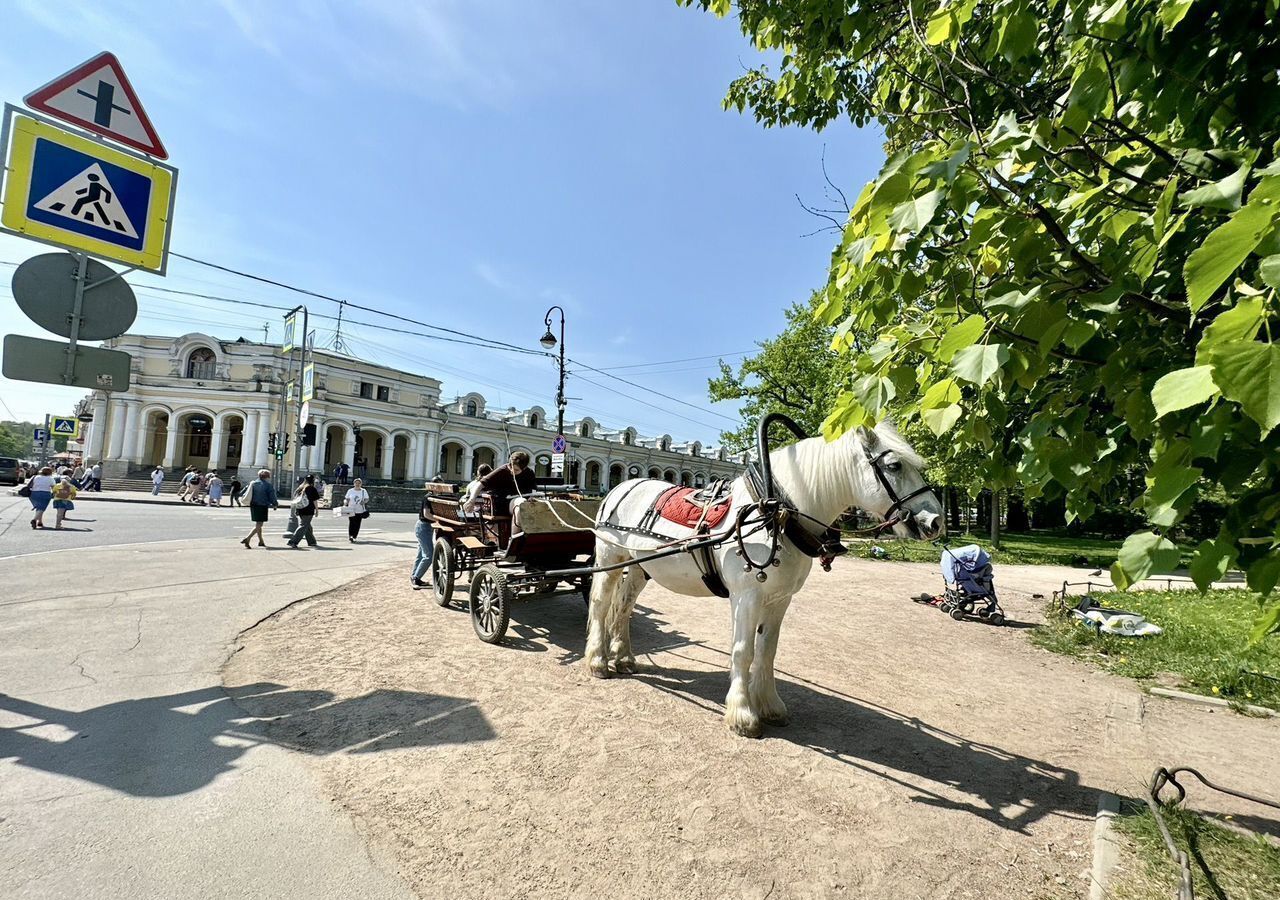 свободного назначения г Пушкин ул Московская 25 р-н Пушкинский фото 2
