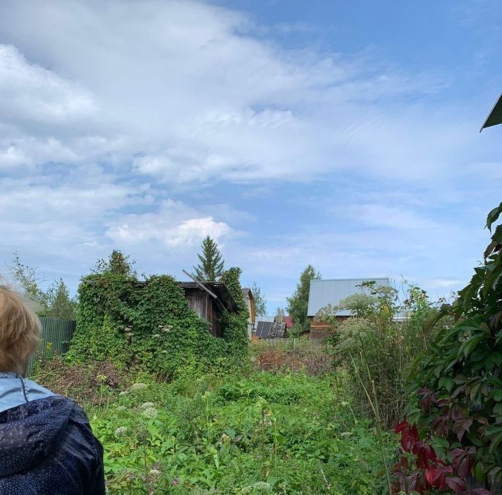 земля г Коломна снт Нарцисс 3-я линия, Талдомский городской округ фото 6