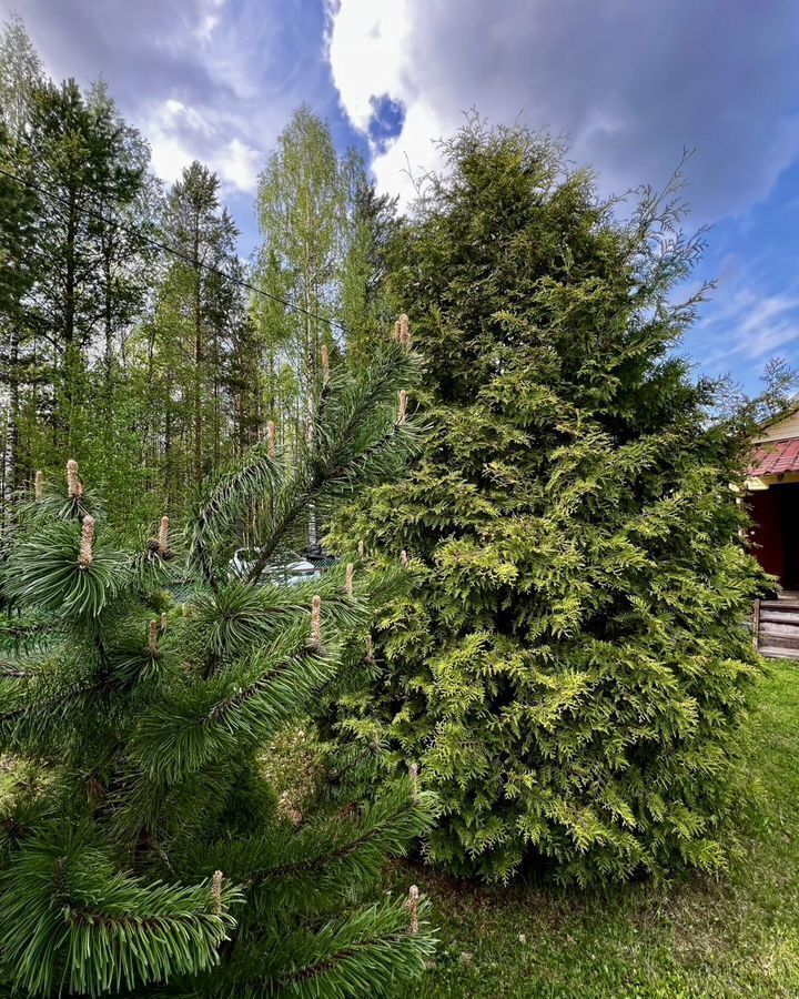 дом г Северодвинск снт Ягринское ул Ягодная 3 фото 16
