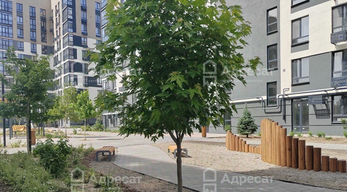 квартира г Волгоград р-н Тракторозаводский ул Тракторостроителей 27/2 фото 8