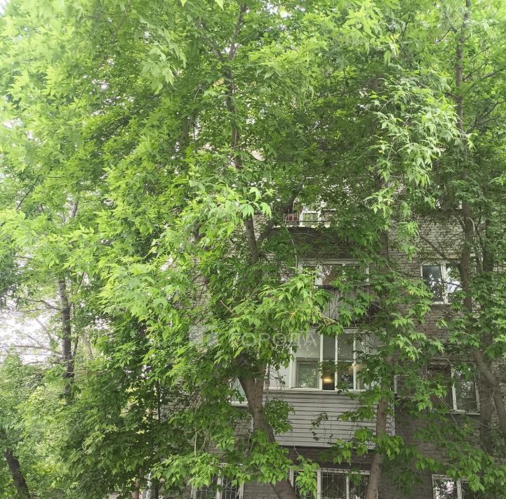 квартира г Новосибирск метро Площадь Гарина-Михайловского ул Омская 89а фото 18