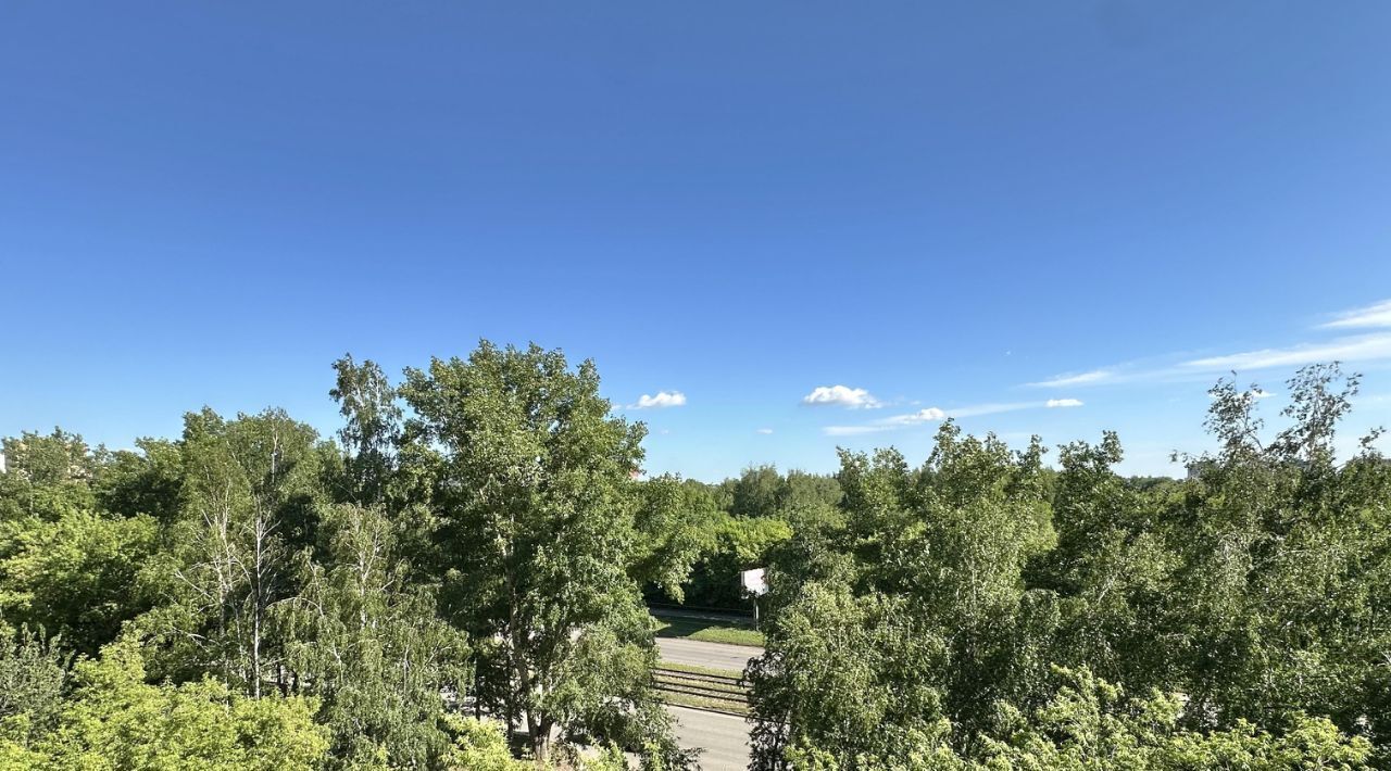 квартира г Барнаул р-н Ленинский ул Антона Петрова 214 фото 20