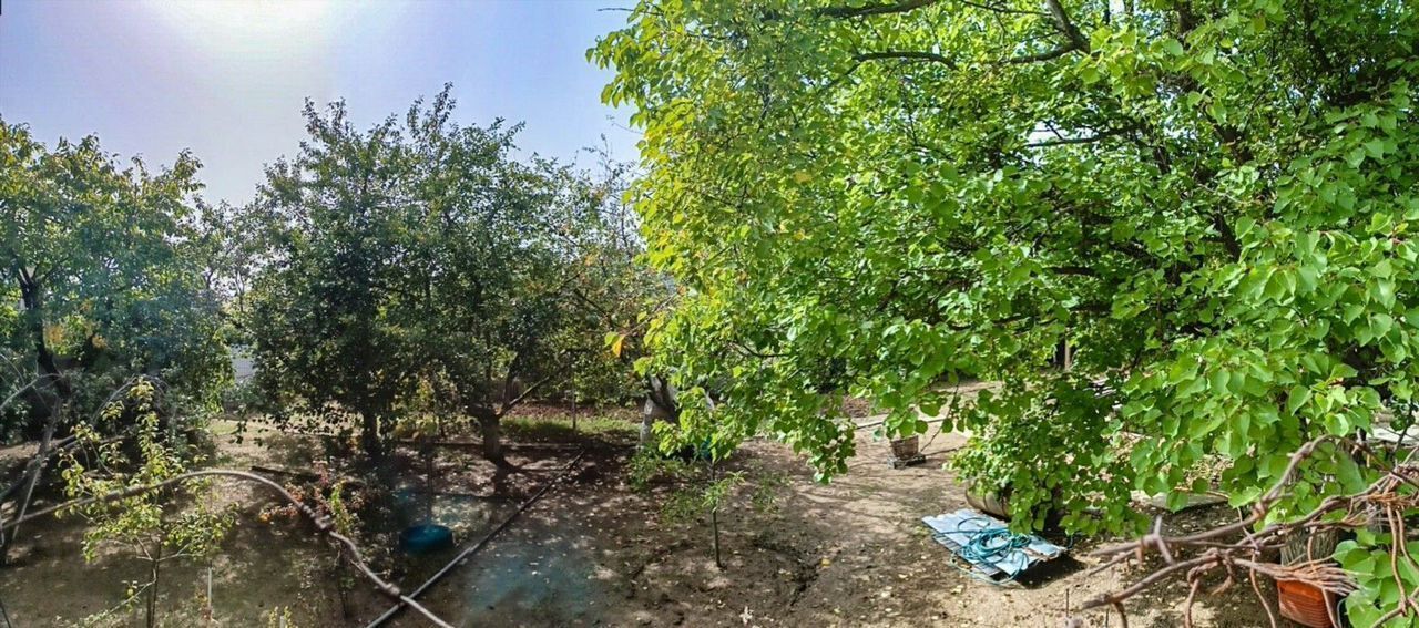 земля г Севастополь р-н Балаклавский снт Корабел Балаклавский муниципальный округ, 122, Крым фото 4