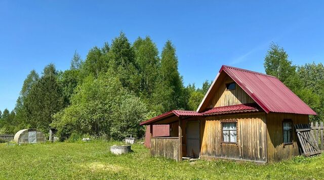 СДТ, Родничок фото