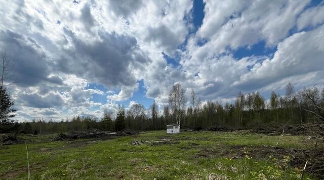земля д Еглизи Тосненское городское поселение, 3-я линия фото