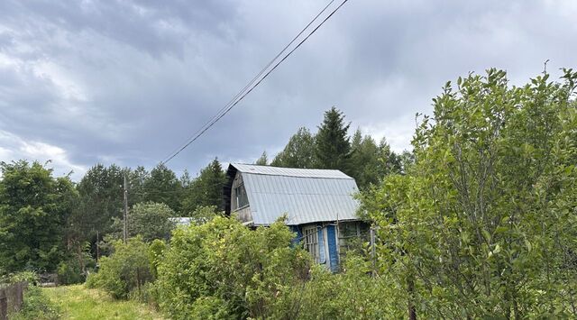 р-н Калининский снт Рябинушка фото