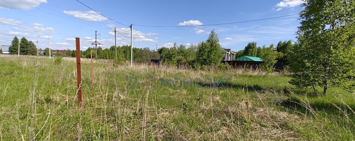 земля г Бор Летневская ул фото 4