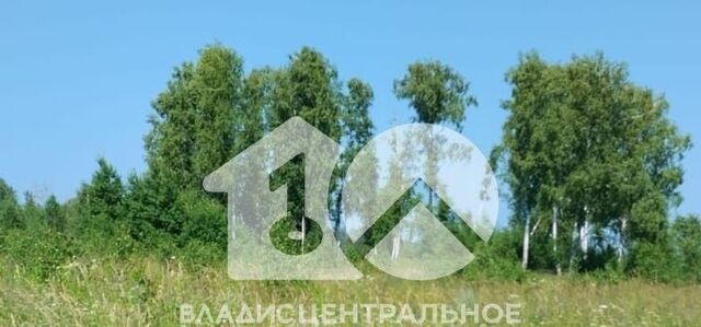 ул Садовая фото