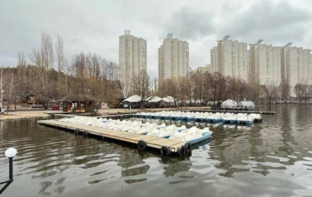 квартира г Воронеж ул Переверткина 1/1 фото 7