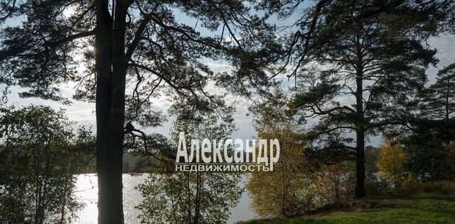 Лесколовское с/пос, ДНТ, Центральная линия фото