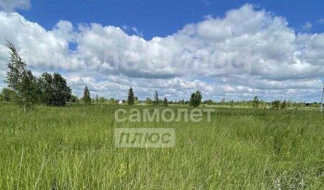 Куярское с/пос, 6-й кв-л фото