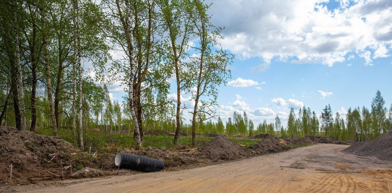 земля р-н Всеволожский г Всеволожск Щегловское Раздолье кп фото 3