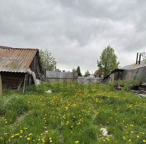 ул Мира Южный управленческий округ, Щелкун фото