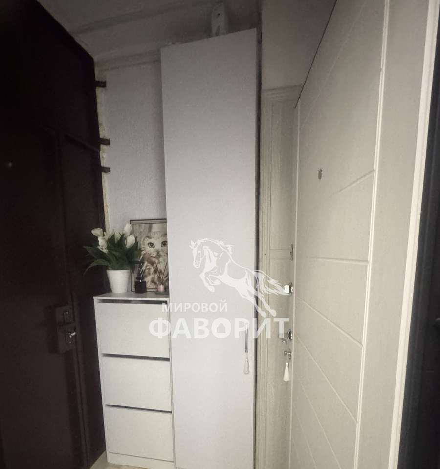 квартира г Оренбург ул Салмышская 61 19-й м-н фото 16