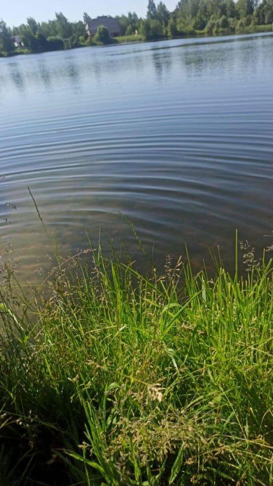 дом городской округ Богородский г Ногинск снт тер.Селена Железнодорожная, 181 фото 18