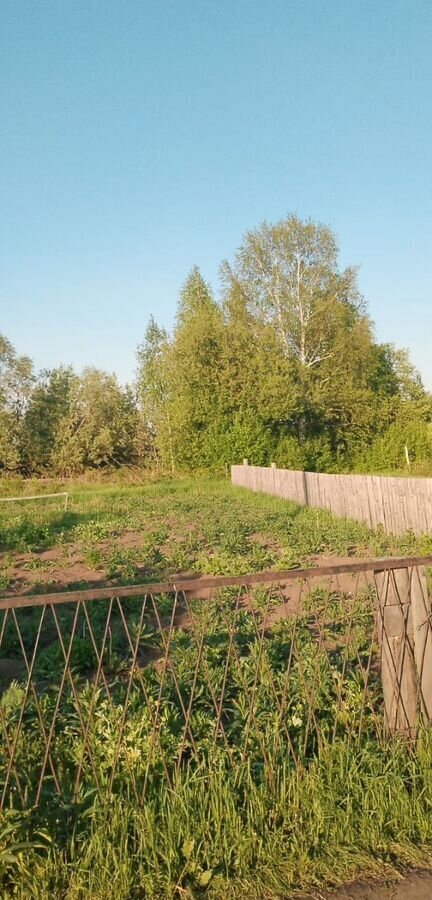 земля р-н Асиновский г Асино ул Мичурина фото 3