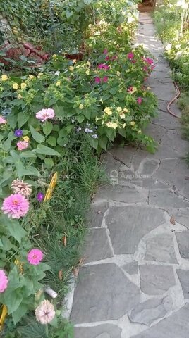 ул Читинская фото