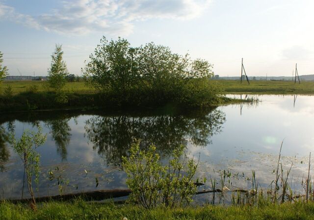 п Уваровка 114 км, д. Вороново, Минское шоссе фото