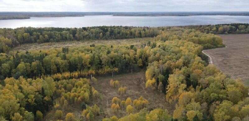 земля г Химки ул Гоголя 4 2 км, Ленинградское шоссе фото 3