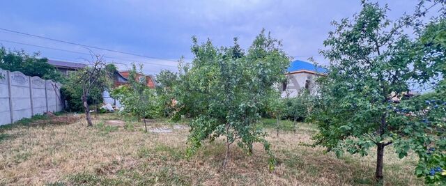 земля Новая весна СНТ фото