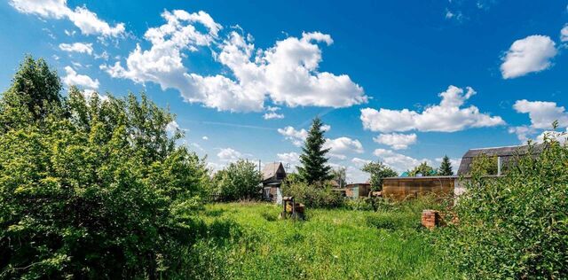 р-н Центральный снт Ромашка аллея 8-я, 13 фото