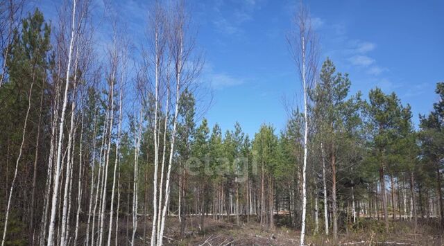р-н Пригородный п Северка ул. Малореченская, 36, муниципальное образование, Екатеринбург фото
