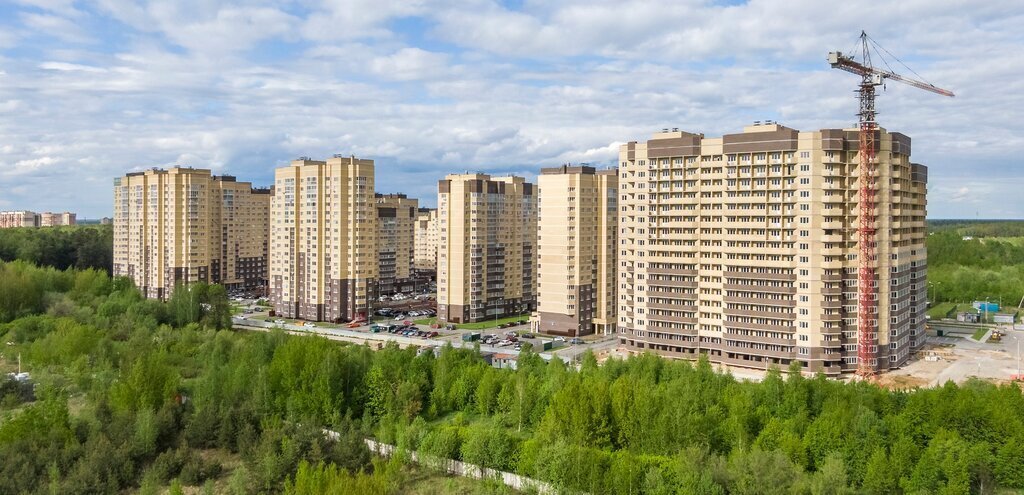 квартира городской округ Богородский г Ногинск ул Дмитрия Михайлова 2 фото 4