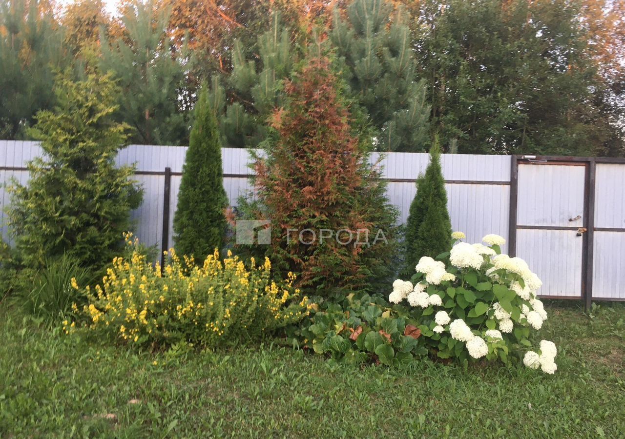 земля городской округ Клин г Высоковск 9798 км, СНТ Ветеран, 174, г. о. Клин, Ленинградское шоссе фото 4