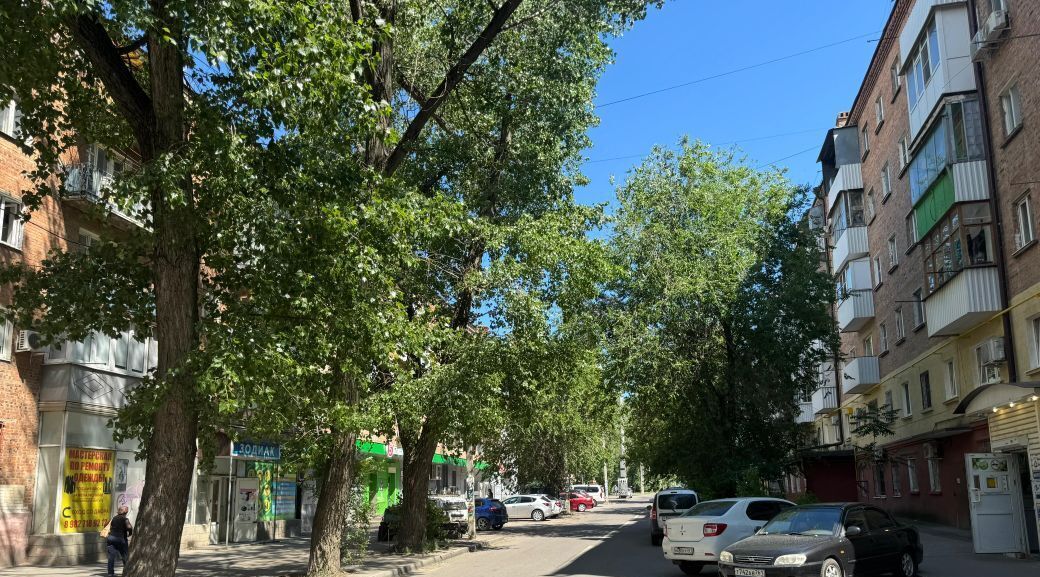 квартира г Ростов-на-Дону р-н Первомайский ул Казахская 153 фото 18