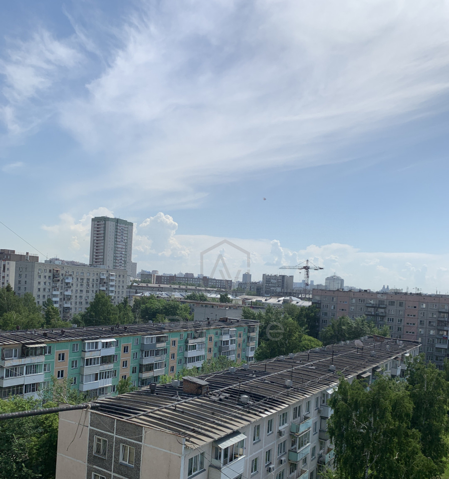 квартира г Новосибирск метро Площадь Гарина-Михайловского Челюскинский ул Челюскинцев 14 фото 8
