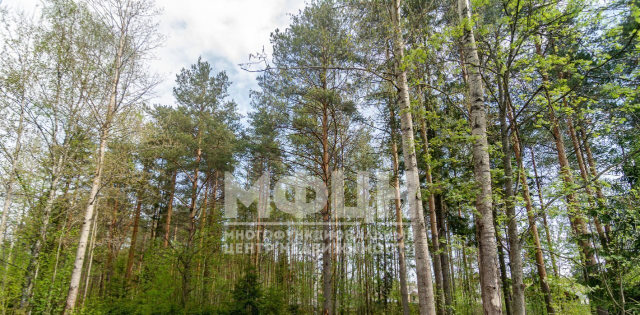 земля г Петрозаводск ул Сулажгорского Кирпичного Завода фото 3