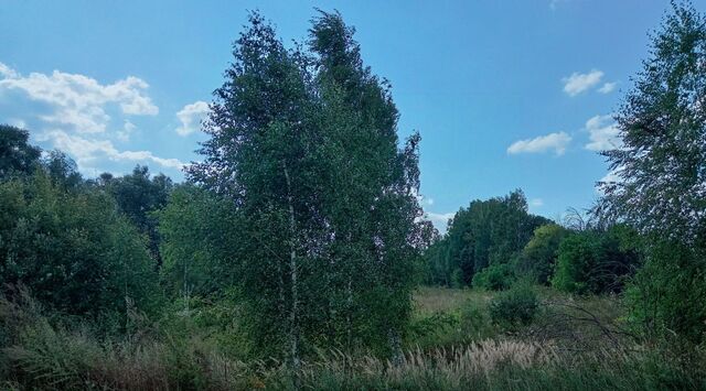 земля п Белоберёзовский фото