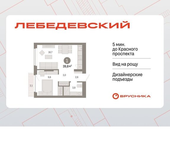 квартира Заельцовская квартал № 5 ЖК «Лебедевский» фото