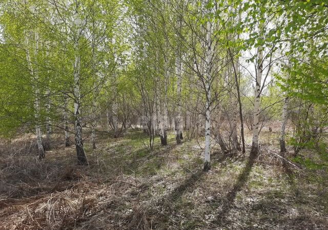 с Кунгурка ул Рабоче-Крестьянская Екатеринбург фото